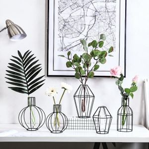 Home accessories Flowers & Plants Nordic Iron Vases Retro Iron Line Flower Vase Metal Plant Holder Creative Geometric Glass Plant Shelving Modern Solid Home Decor